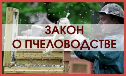 Фермент діастаза в меді або диастазное число меду (фермент) Фермент діастаза в меді або диастазное число меду