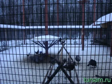 Етносвіт фото, пам'ятки, адреса, як дістатися до Етносвіт, а так же офіційний сайт (музей Етносвіт) Етносвіт фото, пам'ятки, адреса, як дістатися до Етносвіт, а так же офіційний сайт