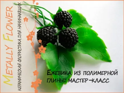 Ожина ягоди з полімерної глини - майстер-клас, metally flower (ожина холодний фарфор) Ожина ягоди з полімерної глини - майстер-клас, metally flower