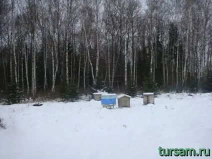Етносвіт фото, пам'ятки, адреса, як дістатися до Етносвіт, а так же офіційний сайт (Етносвіт Калузька область офіційний сайт фото) Етносвіт фото, пам'ятки, адреса, як дістатися до Етносвіт, а так же офіційний сайт