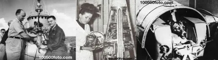 Фотографії найвідоміших тварин - підкорювачів космосу (відомих) Фотографії найвідоміших тварин - підкорювачів космосу