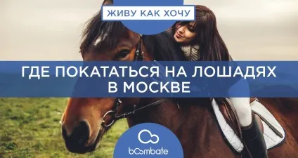 Де покататися верхи на конях в москві і Підмосков'ї (покататися) Де покататися верхи на конях в москві і Підмосков'ї