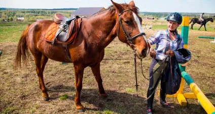 Де покататися верхи на конях в москві і Підмосков'ї (конях) Де покататися верхи на конях в москві і Підмосков'ї