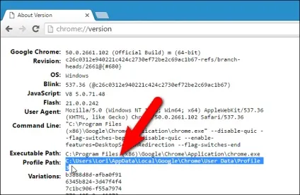 Де знаходиться папка профілю chrome на windows, mac і linux (mac os) Де знаходиться папка профілю chrome на windows, mac і linux