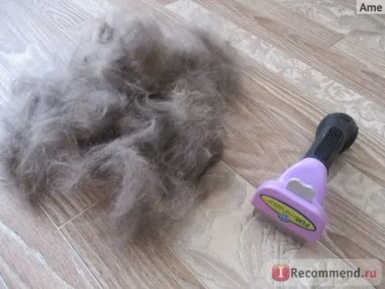 Фурминатор furminator - «furminator вам на допомогу проти шерсті ваших вихованців», відгуки покупців (кішок довгошерстих порід) Фурминатор furminator - «furminator вам на допомогу проти шерсті ваших вихованців», відгуки покупців