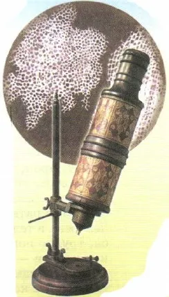 живі клітини