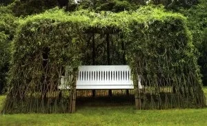 Жива альтанка з дерев як створити зелений куточок відпочинку в саду своїми руками (дерев) Жива альтанка з дерев як створити зелений куточок відпочинку в саду своїми руками