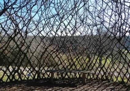 Жива альтанка своїми руками поетапне зведення, фото (жива) Жива альтанка своїми руками поетапне зведення, фото