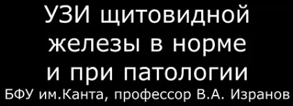 Гіперехогенние зміни щитовидної залози