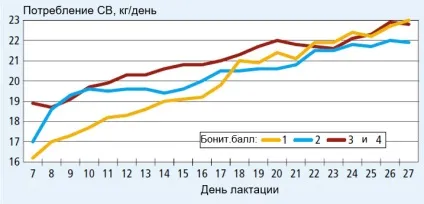 Голодна ямка у корів