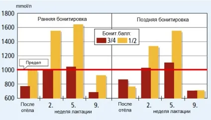 Голодна ямка у корів