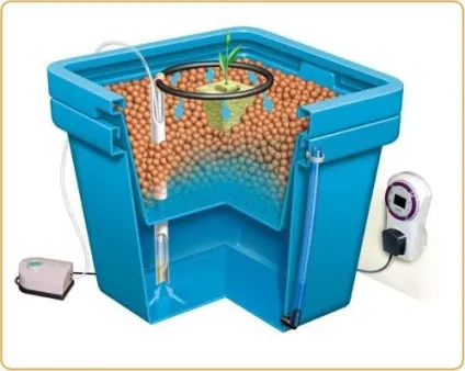 Гідропоніка в домашніх умовах (гідропоніка домашніх умовах) Гідропоніка в домашніх умовах