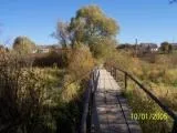 Історія спекулянтів
