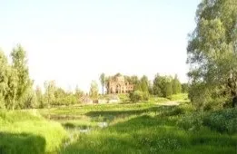 Історія спекулянтів