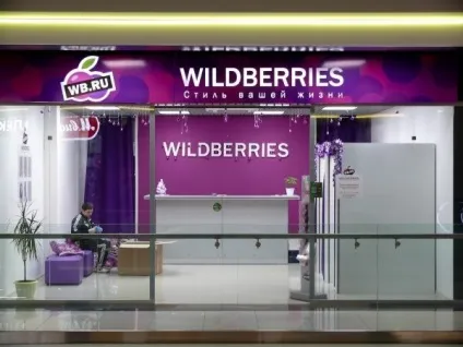 Історія успіху інтернет-магазину wildberries Тетяни Бакальчук