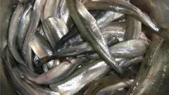 Як часто робити ультразвукову чистку зубів (як часто роблять чистку зубів) Як часто робити ультразвукову чистку зубів