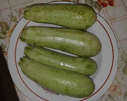 Кабачки користь і шкода для здоров'я, кабачковий сік, насіння (здоров'я) Кабачки користь і шкода для здоров'я, кабачковий сік, насіння