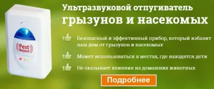 Як позбутися від земляних бліх в будинку, швидко знищити народними засобами (швидко) Як позбутися від земляних бліх в будинку, швидко знищити народними засобами