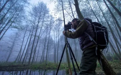 Як фотографувати туман поради по зйомці пейзажу з туманом в кадрі