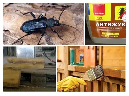 Як позбутися від жука-вусаня в дерев'яному будинку (домовик вусань Чорний) Як позбутися від жука-вусаня в дерев'яному будинку