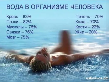 Як позбутися від зайвої води в організмі (води) Як позбутися від зайвої води в організмі