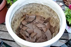 Як можна зробити дренаж для кімнатних рослин своїми руками (зробити) Як можна зробити дренаж для кімнатних рослин своїми руками