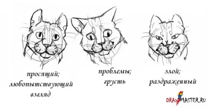 Як намалювати котячу голову