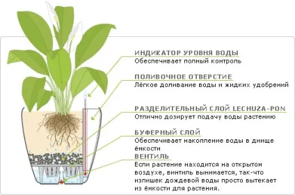 Як можна зробити дренаж для кімнатних рослин своїми руками (зробити) Як можна зробити дренаж для кімнатних рослин своїми руками