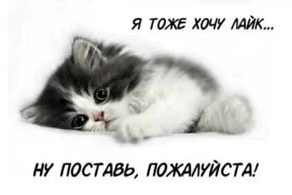 Як накрутити лайки вк безкоштовно без програм (vkontakte) Як накрутити лайки вк безкоштовно без програм