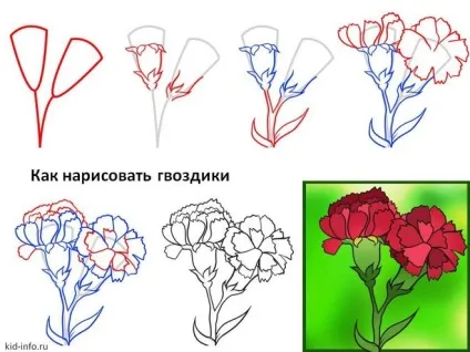 Як намалювати гвоздику гуашшю поетапно (гвоздика) Як намалювати гвоздику гуашшю поетапно