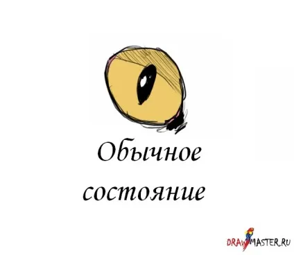 Як намалювати котячу голову