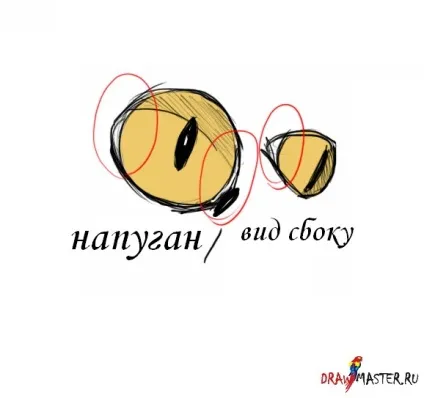 Як намалювати котячу голову