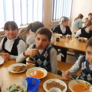 Як оформити безкоштовне харчування в школі і кому воно належить