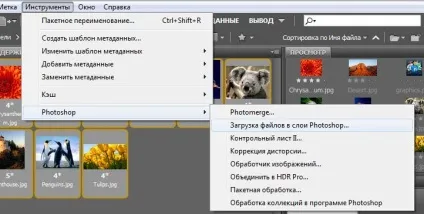 Як відкрити кілька зображень як шари в одному документі photoshop (відкрити) Як відкрити кілька зображень як шари в одному документі photoshop