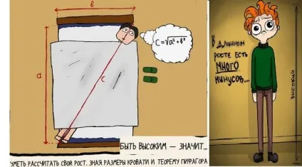 Як оригінально відповісти на питання який у тебе ріст (тебе) Як оригінально відповісти на питання який у тебе ріст