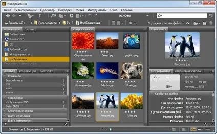 Як відкрити кілька зображень як шари в одному документі photoshop (зображень) Як відкрити кілька зображень як шари в одному документі photoshop
