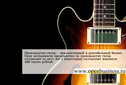 Як відкрити бізнес з виробництва гітар (використовувані технології практично) Як відкрити бізнес з виробництва гітар