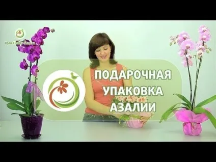 Як оригінально упакувати букет квітів (вами була Федосова) Як оригінально упакувати букет квітів