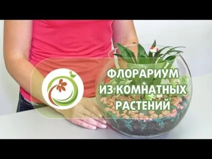 Як оригінально упакувати букет квітів (упакувати) Як оригінально упакувати букет квітів