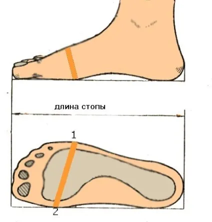 Як визначити свій розмір кросівок (визначити) Як визначити свій розмір кросівок