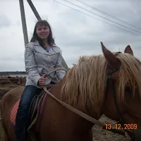 Як відучити кошеня гадити на ліжко, кіт в ліжко насрати повір'я як відучити кота гадити на (гадити) Як відучити кошеня гадити на ліжко, кіт в ліжко насрати повір'я як відучити кота гадити на