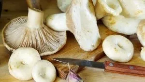 Яка калорійність грибів, наприклад, печериць
