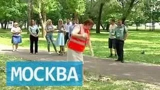 Який штраф за несплату парковки або її прострочення (парковки) Який штраф за несплату парковки або її прострочення
