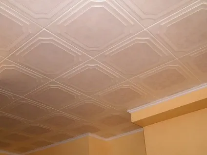 Який стеля на кухні вибрати (вибрати) Який стеля на кухні вибрати