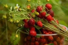 Як правильно пишеться слово іній, як правило! (однокореневі слова) Як правильно пишеться слово іній, як правило!