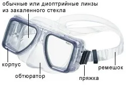 Як правильно підібрати маску для підводного плавання