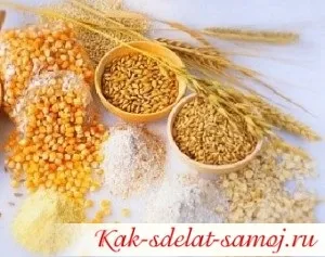 Як правильно зберігати крупу, щоб не завелися жучки, як зробити самій (крупу) Як правильно зберігати крупу, щоб не завелися жучки, як зробити самій