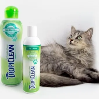 Як помити кота без шкоди для здоров'я собі і Котейко (котів миття самого) Як помити кота без шкоди для здоров'я собі і Котейко