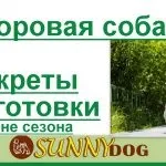 Як привчити собаку до води і плавання (собаку) Як привчити собаку до води і плавання