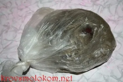 Як проростити (прорости) каштан в домашніх умовах (проростити) Як проростити (прорости) каштан в домашніх умовах